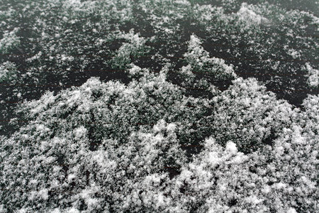 汽车窗上的雪霜和冰霜设计背图片