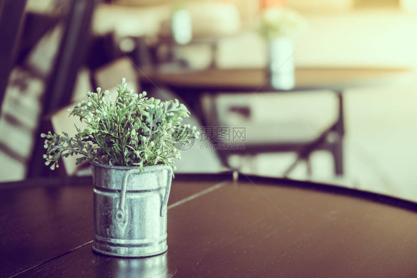 台面花瓶中的植物图片