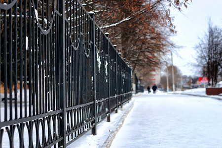 公园里的冬季户外团体街图片