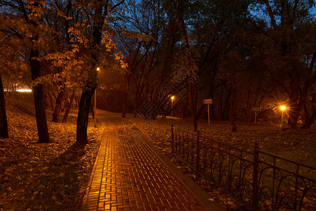 明星效应晚上在公园和路灯在莫斯科Babushkinskiy区的Yauza河附近的公园公园标志上写着海岸保护区和背景