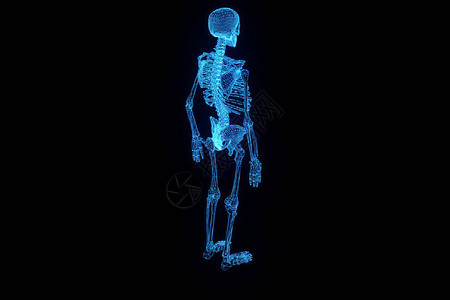 人类骨骼无线框架整体图在运动中漂亮的图片