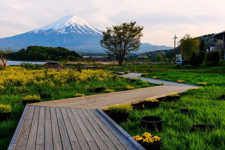 日本川口子湖黄昏时节与富士山一道在春天的Ois图片