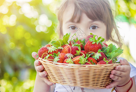 孩子和草莓图片
