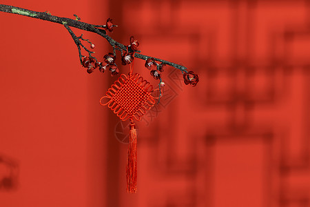 节日花草装饰新年中国结装饰背景