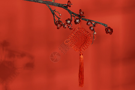 春节中国结装饰背景图片