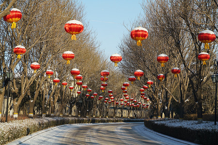 被雪装饰建筑别墅区雪景背景