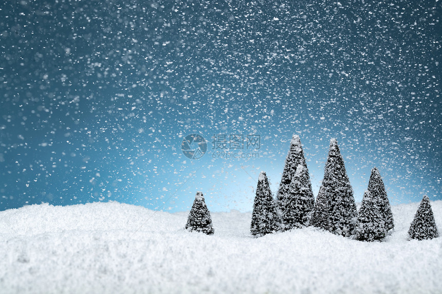 雪中的松树图片