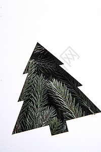 松针圣诞树背景图片