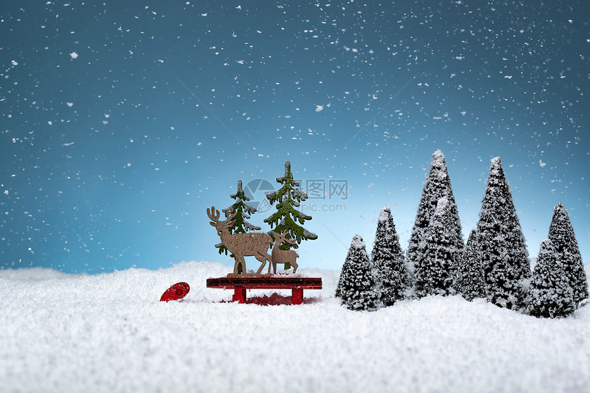 雪中的松树和麋鹿图片