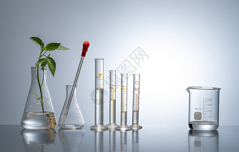 植物化学物质实验室里的玻璃器皿背景