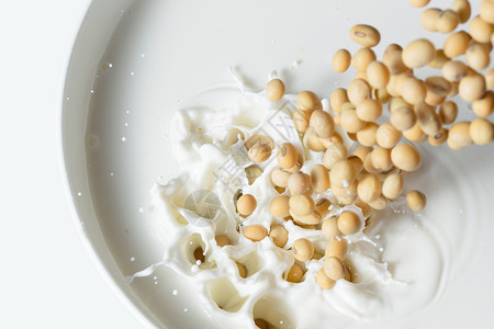 牛奶黄豆豆科植物特拉维夫高清图片