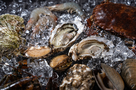 海鲜饮食产业鱼蟹高清图片