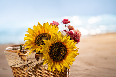 沙滩静物向日葵插花高清图片