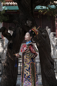 穿清宫服的青年女人站在古树下高清图片