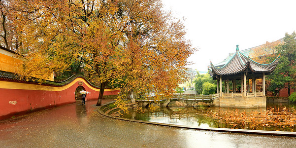 秋天标志湖南省长沙岳麓书院背景