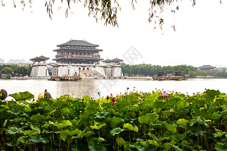 芙蓉湖陕西省西安大唐芙蓉园背景