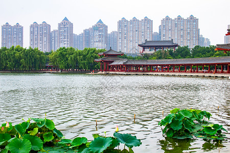 芙蓉湖陕西省西安大唐芙蓉园背景