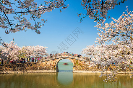 无法辨认江苏省无锡太湖鼋头渚樱花背景