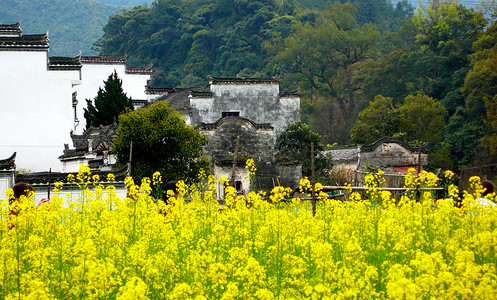 潭溪山江西省婺源县思溪村风光背景