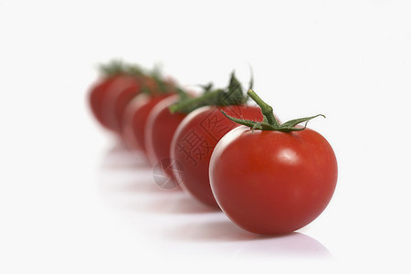 西红柿白色背景上的新鲜西红柿高清图片
