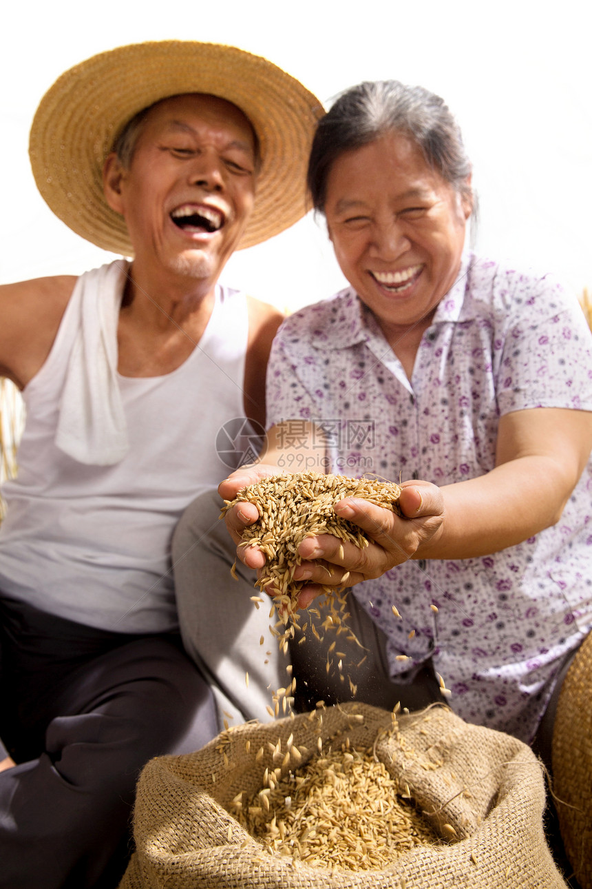 老年夫妇捧着稻谷图片