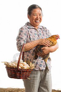 白色大母鸡农民拿着鸡和鸡蛋背景