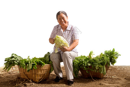 收获白菜农民菜农拿着大白菜背景