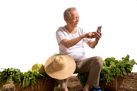 蔬菜水果商的菜农在拿着手机背景