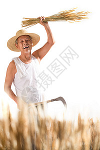 镰刀手臂老农民拿着麦子背景
