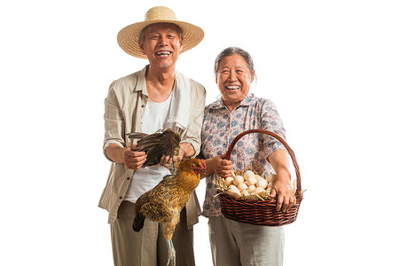 白色大母鸡农民夫妇拿着家禽和鸡蛋背景