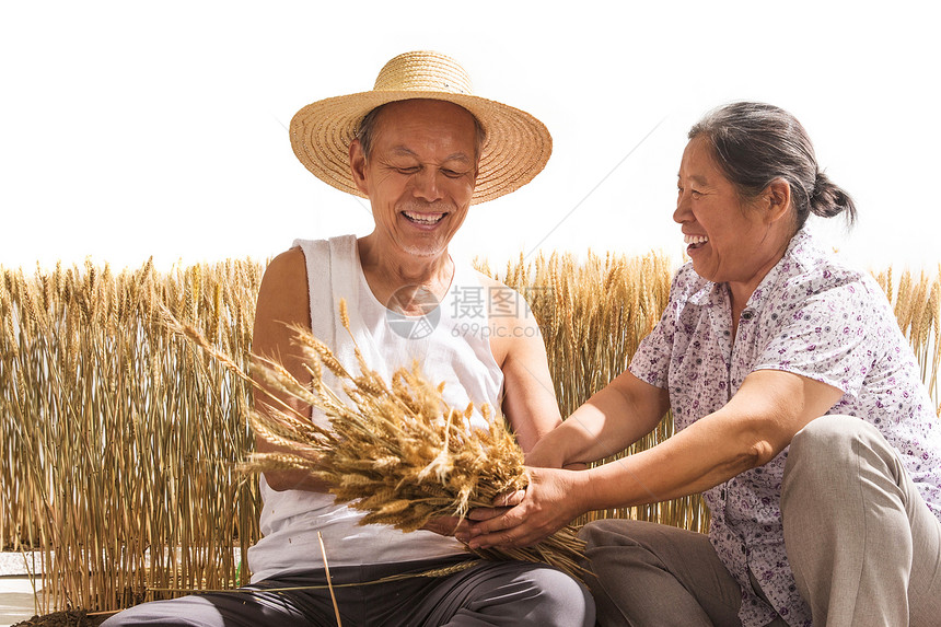 老年夫妇在麦田图片