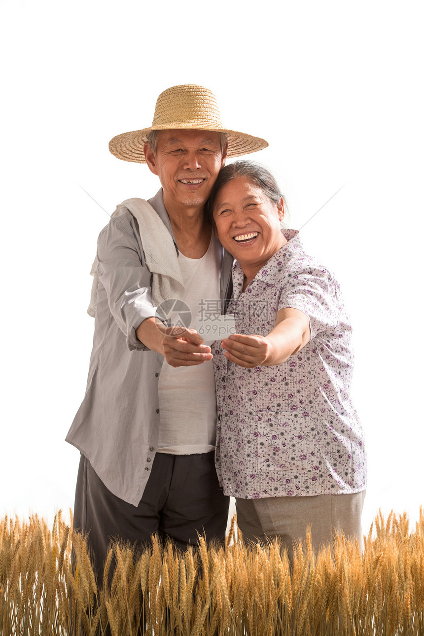 老年夫妇在麦田图片