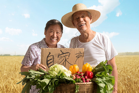 收获白菜农民农民夫妇出示自家蔬菜背景