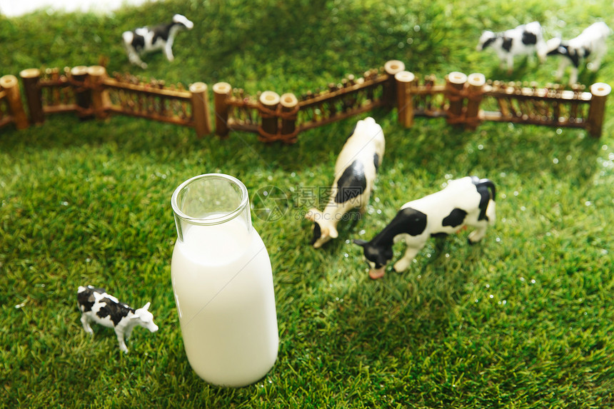 牛奶牧场图片