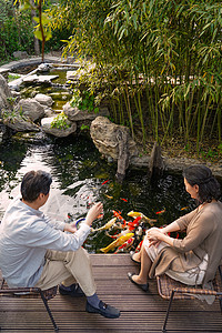 锦鲤活动素材老年夫妇在院子里喂鱼背景