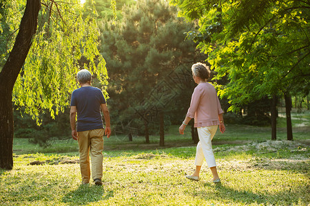 老年夫妇在公园散步图片