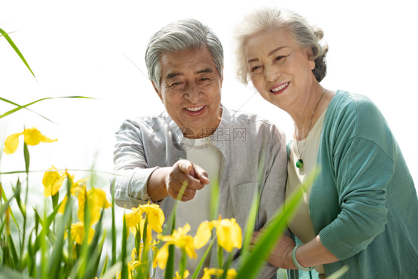 老年夫妇在公园里欣赏花卉图片