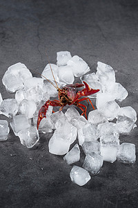 冰块小龙虾图片