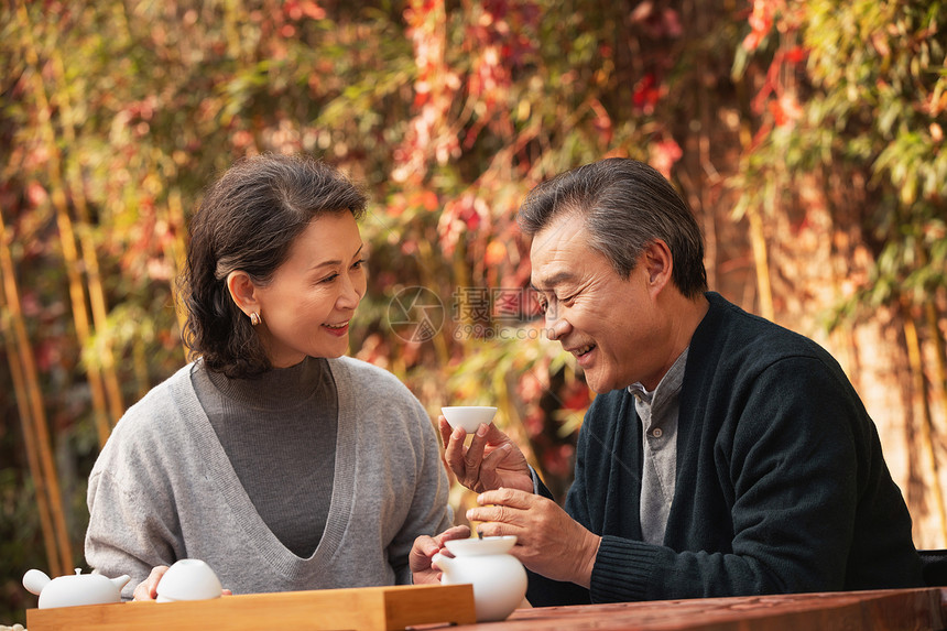 老年夫妇在庭院内品茶图片