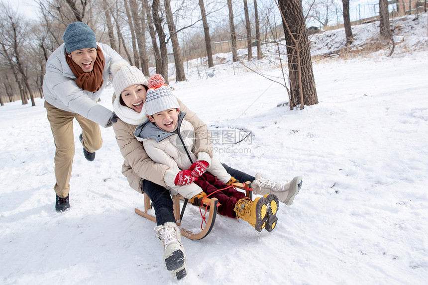 推着雪橇玩耍的一家人图片