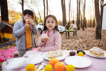 幸福家庭在户外野餐高清图片