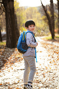 小书包秋天户外小路上背书包的小男孩背景