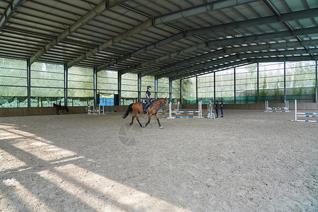 人物动态障碍训练场上骑马的青年女人背景