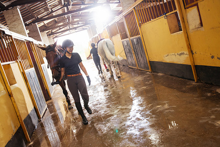 畜舍走廊里牵着马的女孩们高清图片