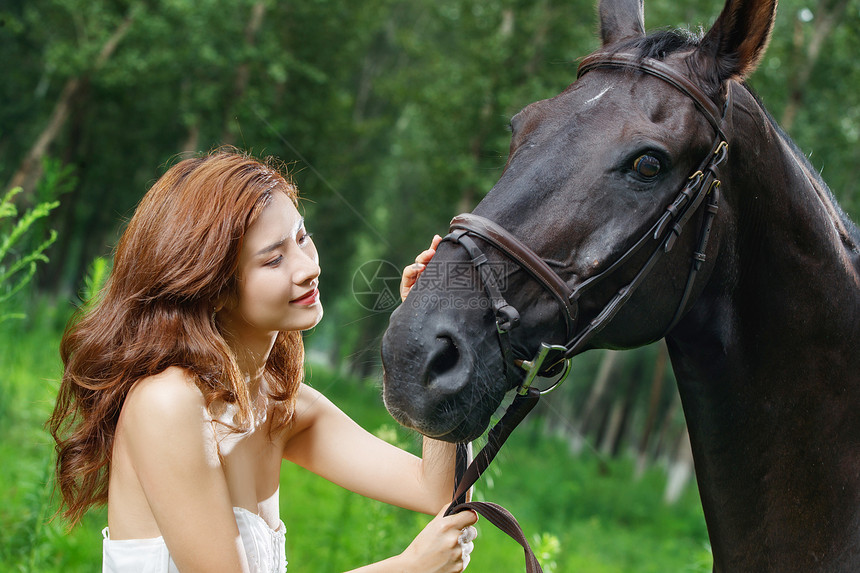 漂亮的年轻女人亲昵的抚摸着马图片