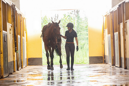牵着马的漂亮年轻女人在的马厩走廊高清图片