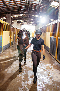 牵着马的漂亮年轻女人在马厩走廊高清图片