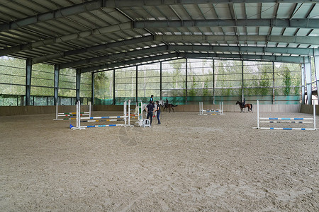 骑着飞鸟的女孩障碍训练场上骑马的少量人群背景
