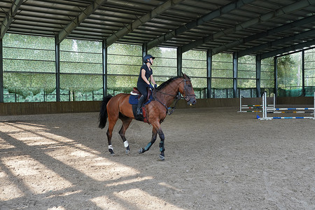 障碍训练场上骑马奔跑的年轻女子图片