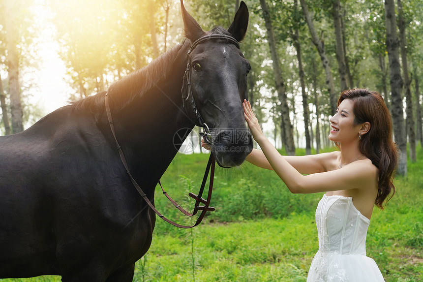 草地上漂亮的年轻女人抚摸着马图片
